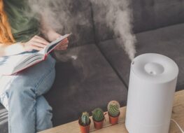 purificador o humidificador