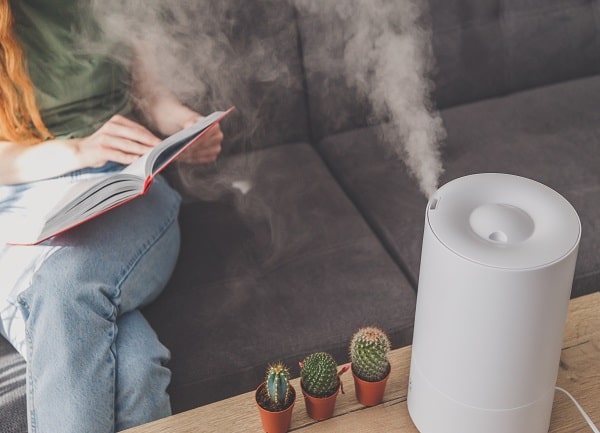 purificador o humidificador