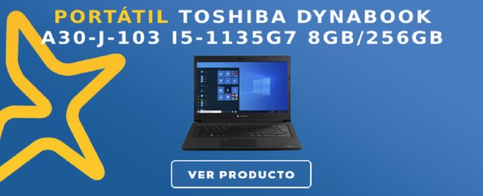 Portátil Toshiba DYNABOOK A30-J-103 I5-1135G7 8GB/256GB