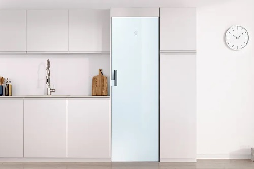 congelador vertical samsung