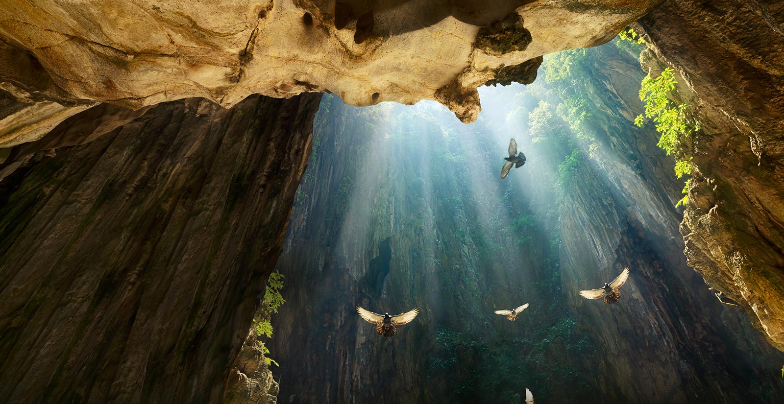 televisor hlg